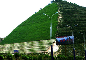 生态袋施工案例 生态袋施工案例