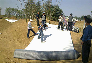 膨润土防水毯施工案例 膨润土防水毯施工案例