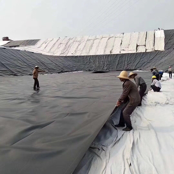 水库土工膜采购需要注意哪些问题?