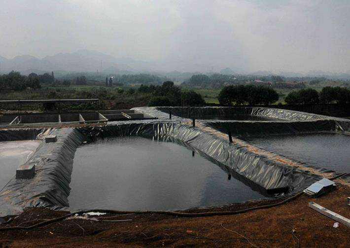 bat365正版唯一官网厂家分析分析复合土工膜施工质量管理