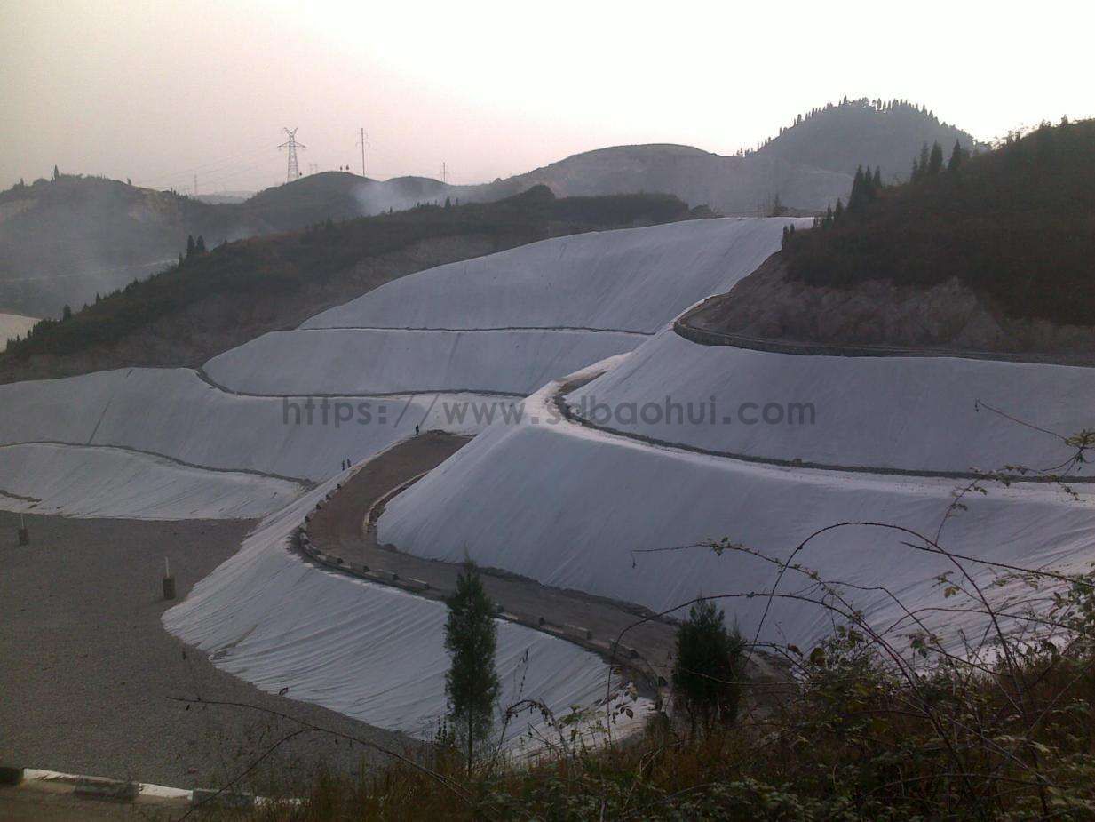 timg (80).jpg timg (80).jpg