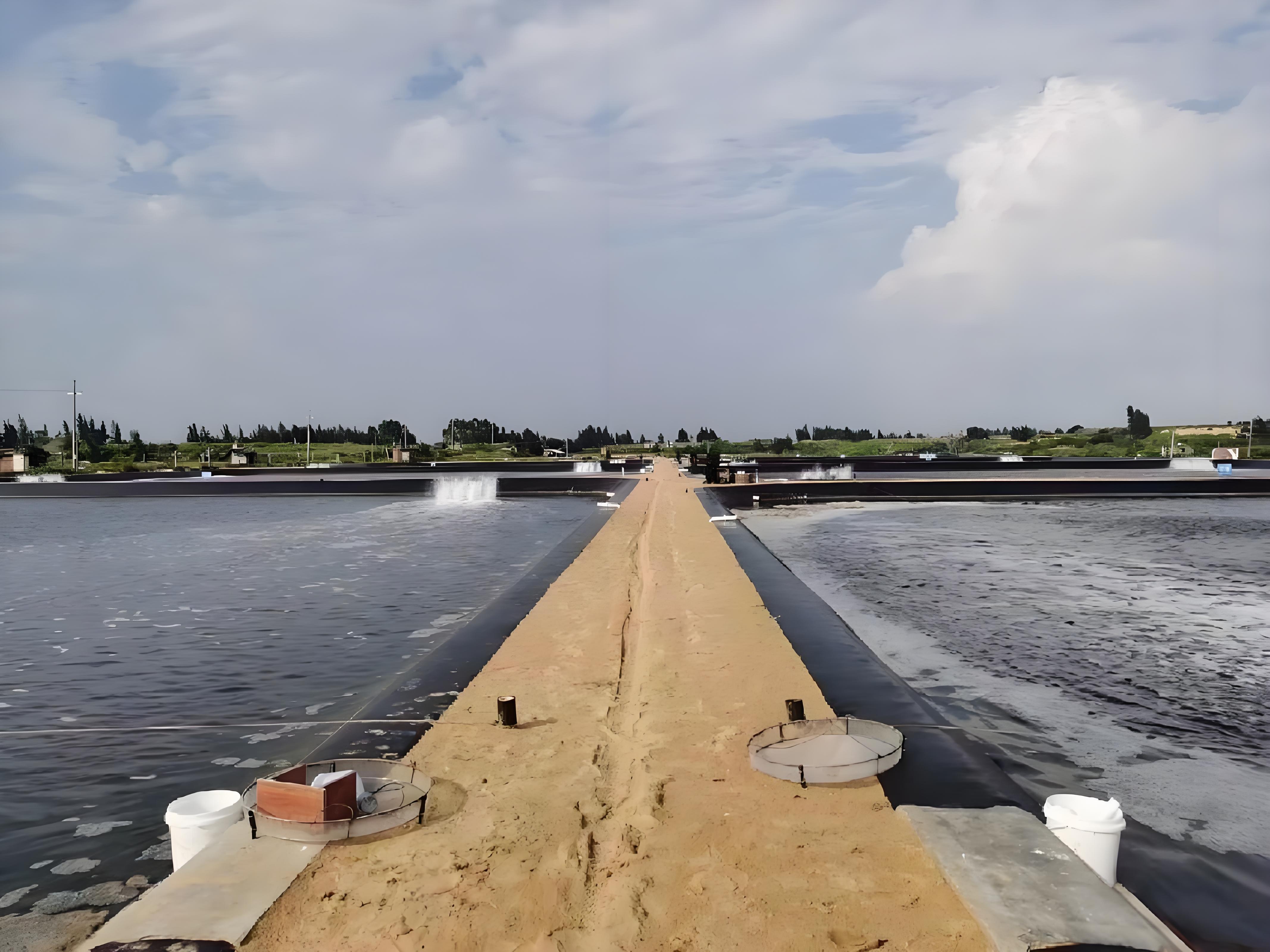 ecfb30f7-6cbe-42cd-bb8c-e95e1c86af1f.jpg ecfb30f7-6cbe-42cd-bb8c-e95e1c86af1f.jpg