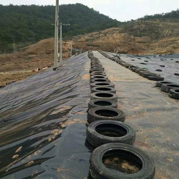 环保领域对土工合成材料的关注点是什么?