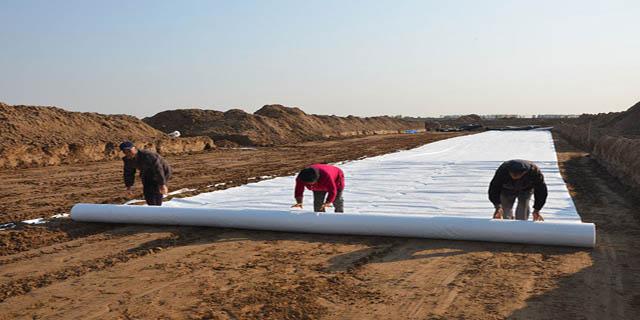水库设计土工膜情况如何?