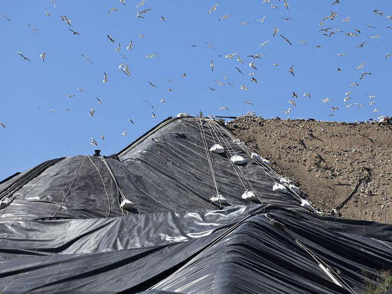土工织物(土工布)能阻止隆起而产生的平衡镇压作用的效应