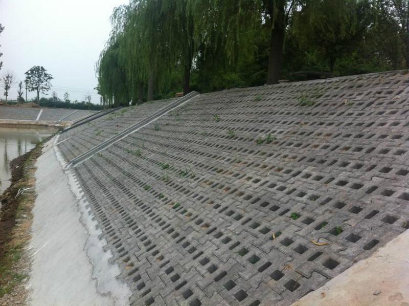 3种常见的坡式护岸技术分别是什么类型?