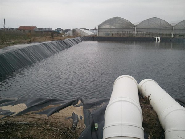 地下水位常年高于铺膜高程正常设,低于铺膜高程不设