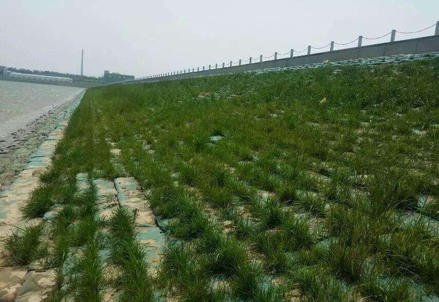 bat365正版唯一官网 常用的海岛边坡修复技术有哪些?如何修复海岛边坡?