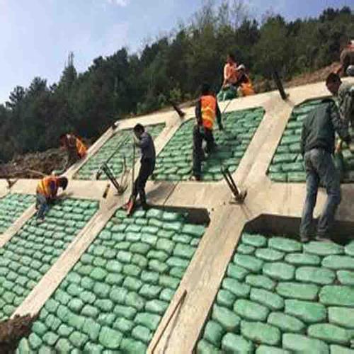 bat365正版唯一官网 常用的海岛边坡修复技术有哪些?如何修复海岛边坡?